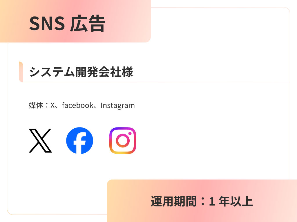 システム開発会社様SNS広告